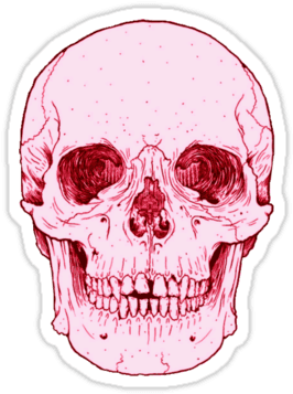 #calavera #calaveras #pink #esqueleto #craneo #huesos - Tattoo Skull Front, HD Png Download - Transparent PNG Free Download | PNGio