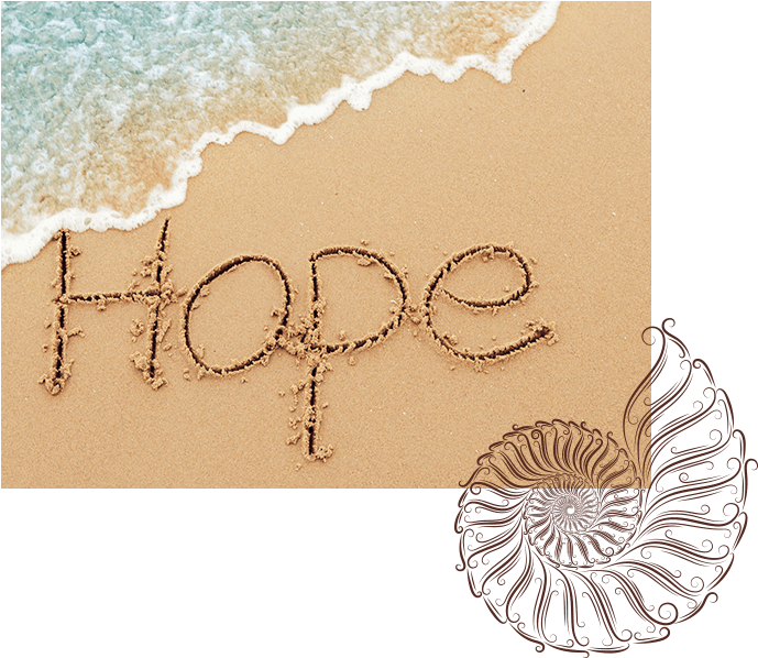 Sand Dollar Anchor Tattoo Anna Maria, HD Png Download - Transparent PNG Free Download | PNGio