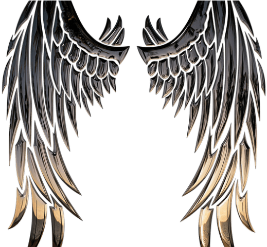 Angel Wings Png - Metal Angel Wings Tattoo, Transparent - Transparent PNG Free Download | PNGio