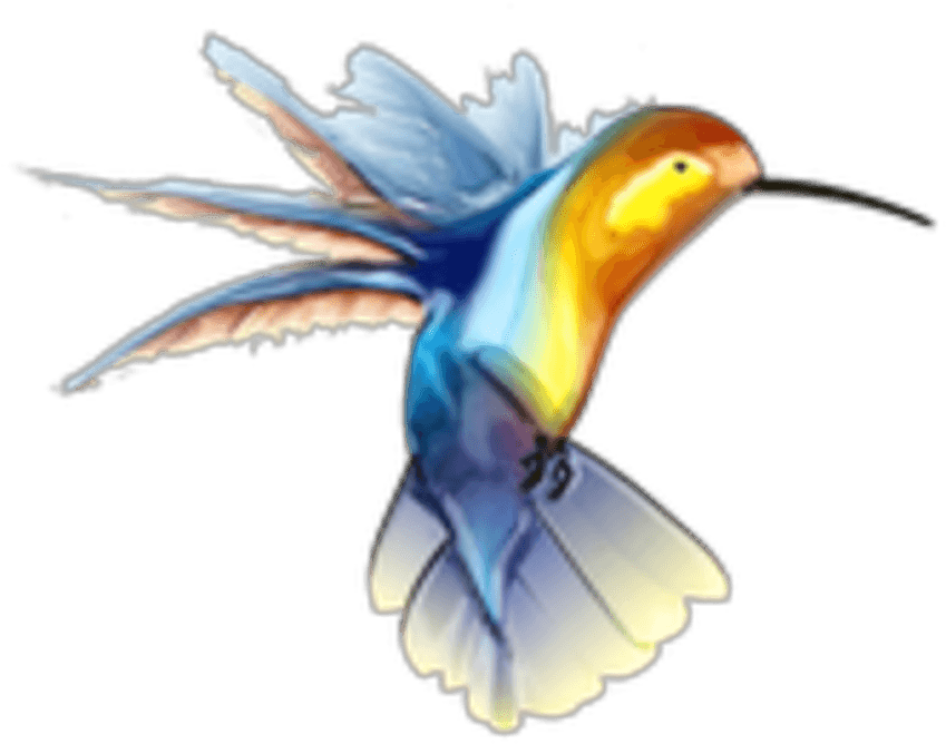 Ftestickers Bird Hummingbird Watercolor - Hummingbird Tattoo, HD Png Download - Transparent PNG Free Download | PNGio