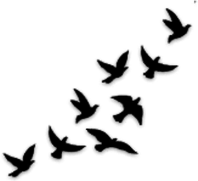 Thumb Image - Flying Birds Tattoo Designs, HD Png Download - Transparent PNG Free Download | PNGio