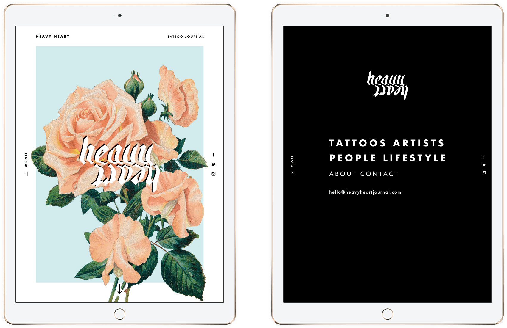 Garden Roses, HD Png Download - Transparent PNG Free Download | PNGio