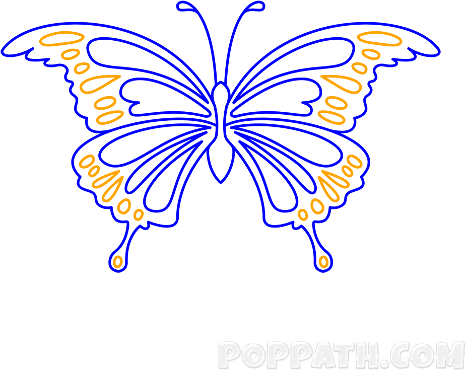 Papilio Machaon, HD Png Download - Transparent PNG Free Download | PNGio