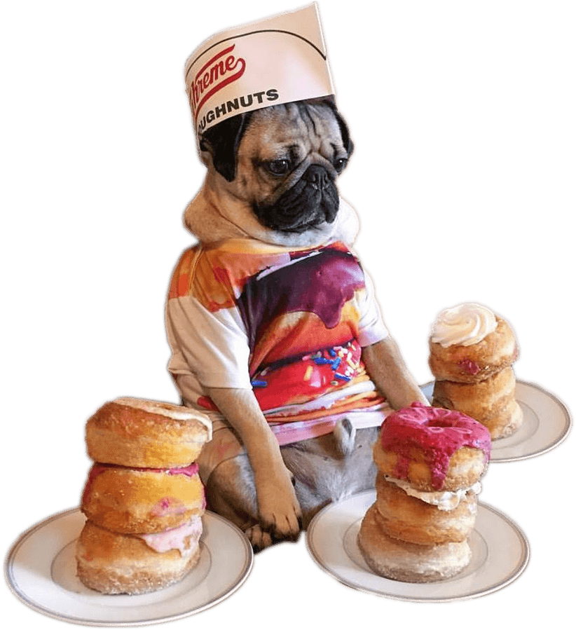 Funny Cheat Day Memes, HD Png Download - Transparent PNG Free Download | PNGio