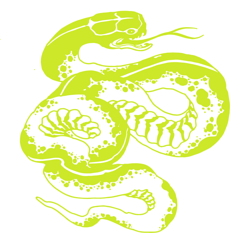 Python, HD Png Download - Transparent PNG Free Download | PNGio