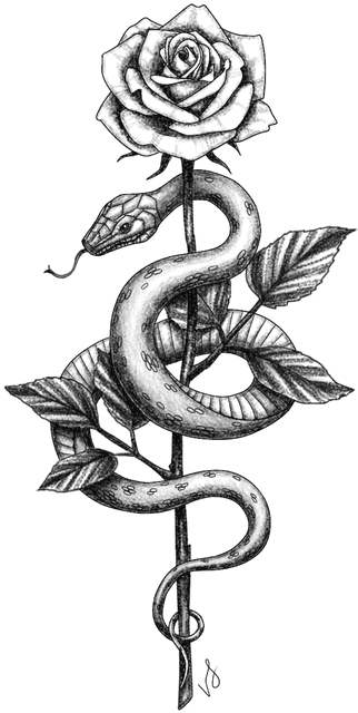 Cartoon, HD Png Download - Transparent PNG Free Download | PNGio