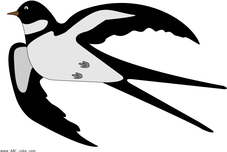 Clip Stock Raster Picture Download Bitmap - Bitmap Download, HD Png Download - Transparent PNG Free Download | PNGio