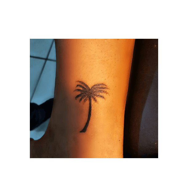 #palmera #tropical - Temporary Tattoo, HD Png Download - Transparent PNG Free Download | PNGio