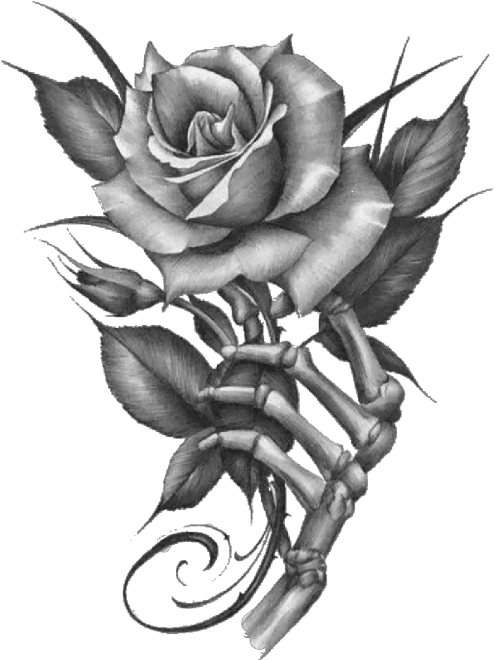 #black #rose #flower #nature #art #stickers #clipart - Tattoo, HD Png Download - Transparent PNG Free Download | PNGio