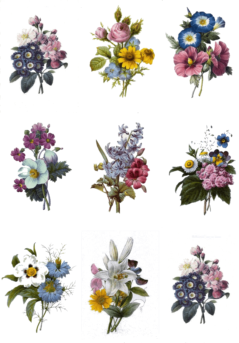 Colorful Flower Tattoo Designs, HD Png Download - Transparent PNG Free Download | PNGio