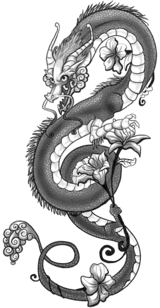 Tattoo Japanese Dragon Drawing Chinese Dragon - Dragon With Flower Tattoo, HD Png Download - Transparent PNG Free Download | PNGio