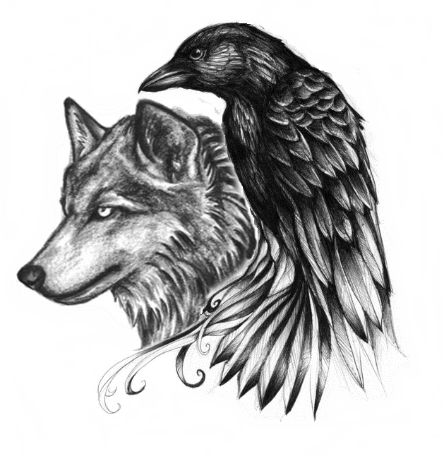 Drawing Tattoo Back - Raven And Wolf Tattoo, HD Png Download - Transparent PNG Free Download | PNGio