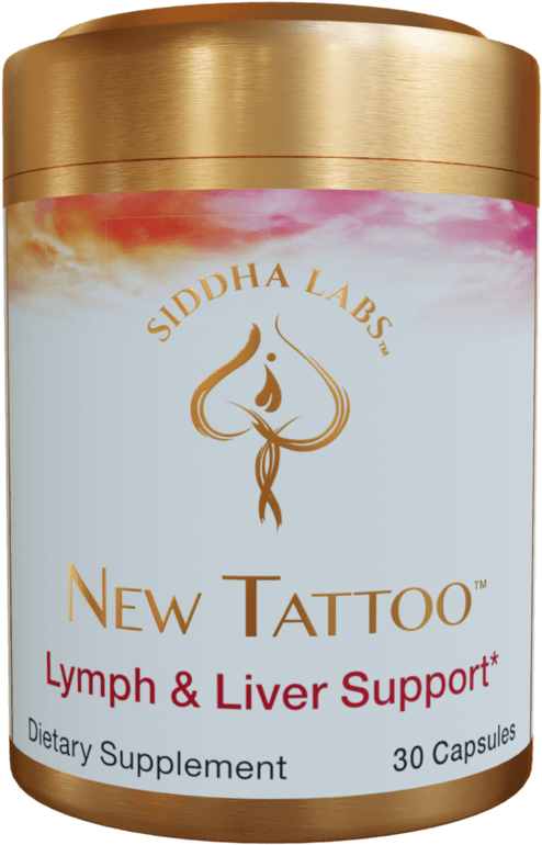 Newtattoopng 2048x, Transparent - Transparent PNG Free Download | PNGio