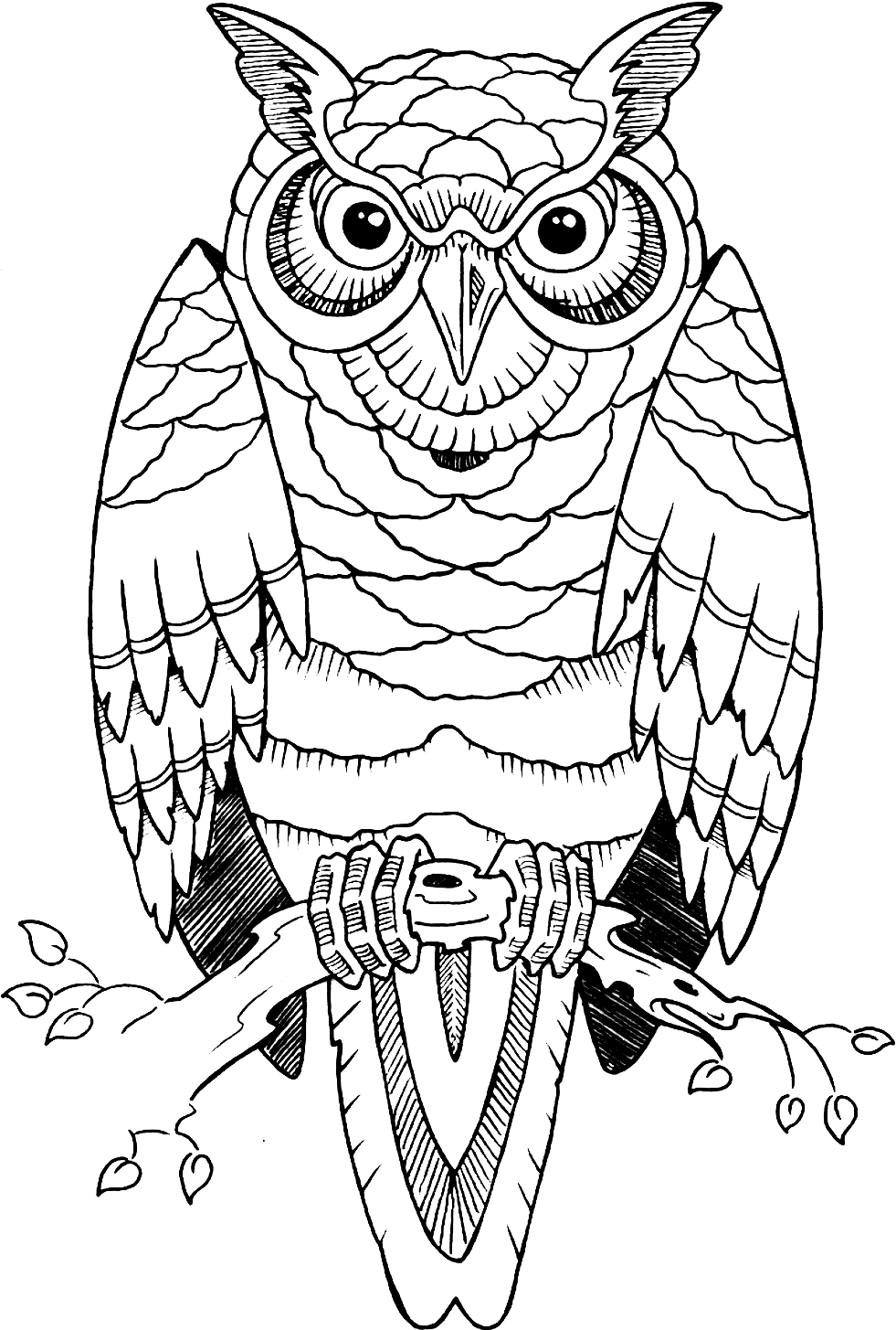 Idea Owl Drawing Tattoo Free Transparent Image Hd Clipart - Traditional Owl Tattoo Design, HD Png Download - Transparent PNG Free Download | PNGio