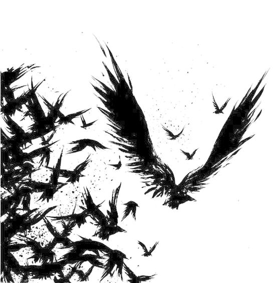 Common Raven Tattoo Drawing Odin - Ravens Tattoo Design, HD Png Download - Transparent PNG Free Download | PNGio