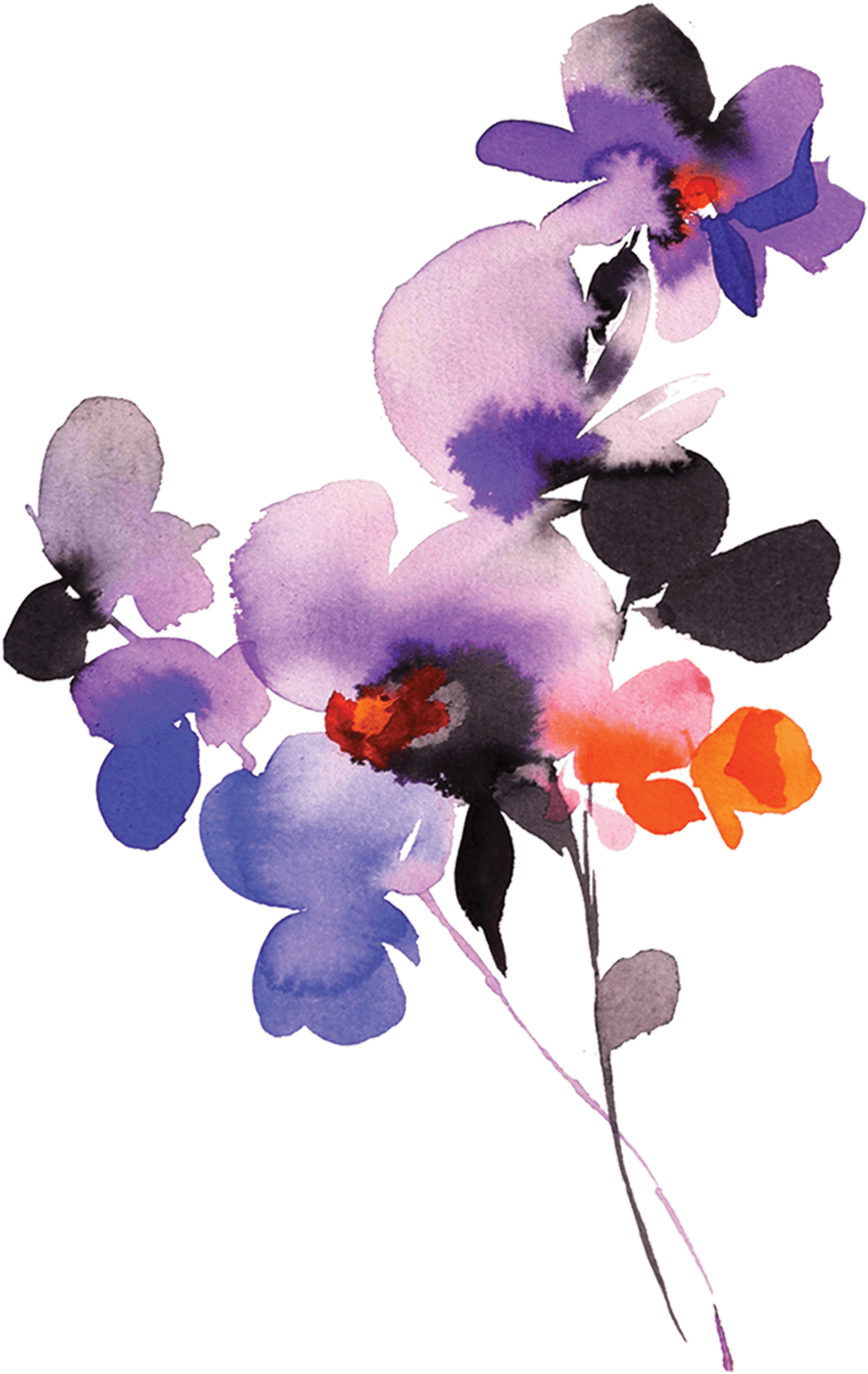 Drawing Orchid Violet - Purple Orchids Flower Tattoo, HD Png Download - Transparent PNG Free Download | PNGio