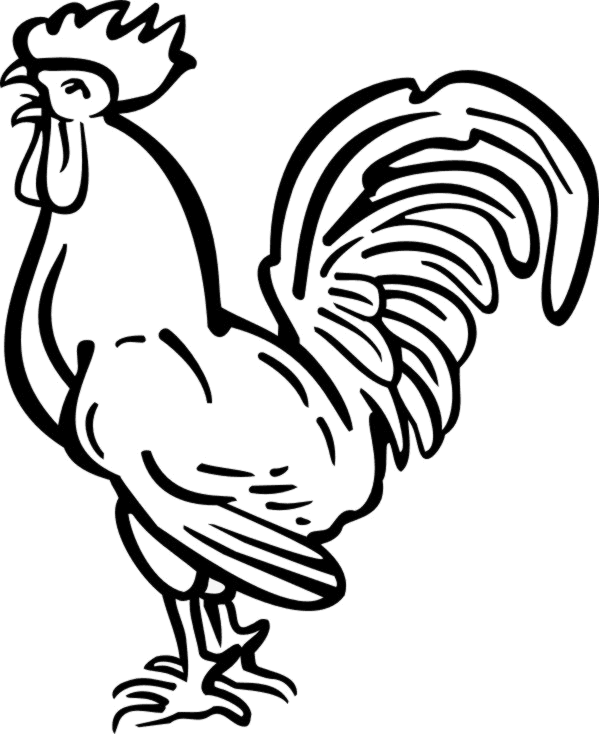Transparent Rooster Clipart Black And White - Chicken Tattoo Png, Png Download - Transparent PNG Free Download | PNGio