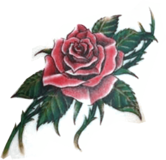 Rose And Thorns Tattoos Pictures And Cliparts, Download - Rose Tattoo For Women Chest, HD Png Download - Transparent PNG Free Download | PNGio
