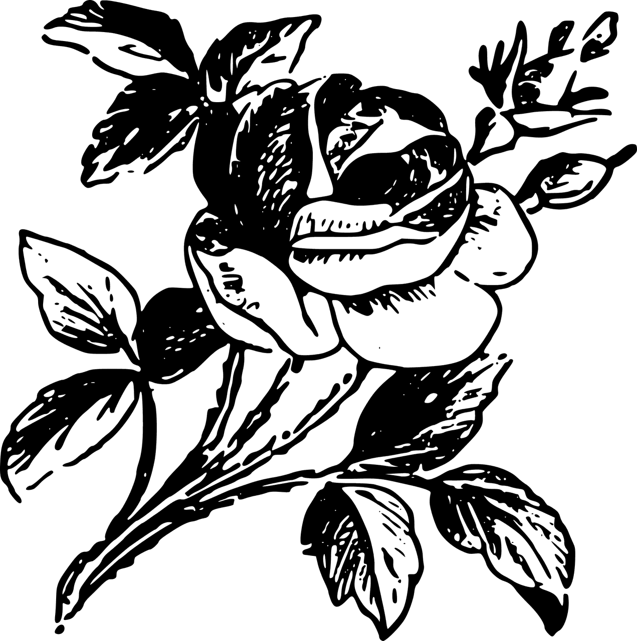 Rose Drawing Clip Art - Stencil Art, HD Png Download - Transparent PNG Free Download | PNGio