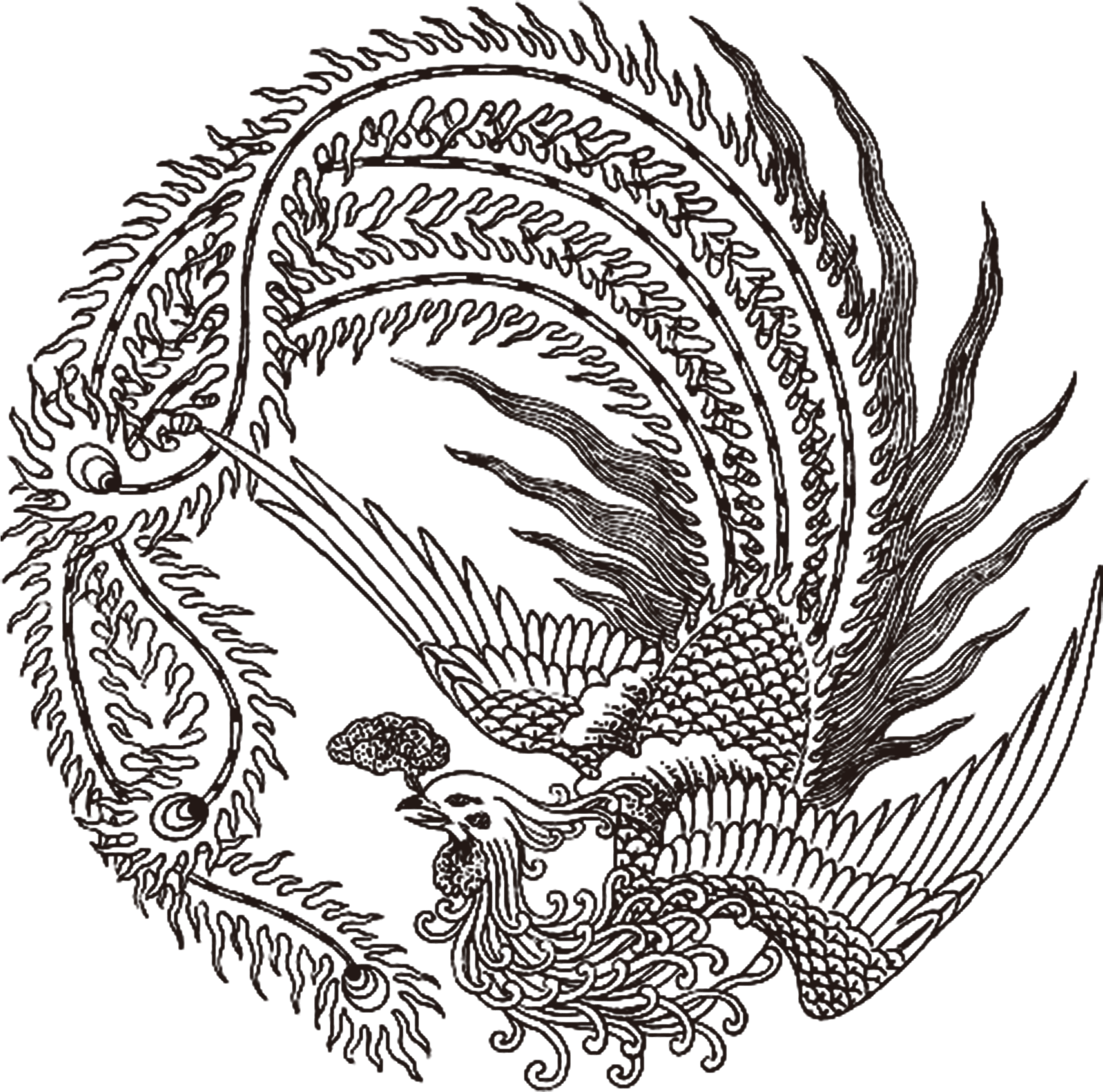 Graphic Black And White Download Fenghuang Phoenix - Chinese Phoenix Tattoo, HD Png Download - Transparent PNG Free Download | PNGio
