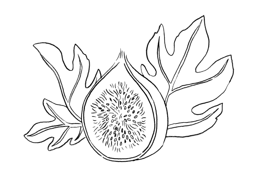 Syd"s Fig Tattoo, HD Png Download - Transparent PNG Free Download | PNGio