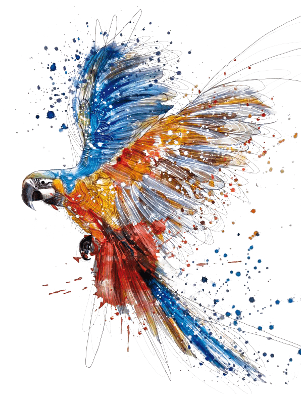 Tattoo Arara Aquarela , Png Download - Watercolor Parrot, Transparent - Transparent PNG Free Download | PNGio