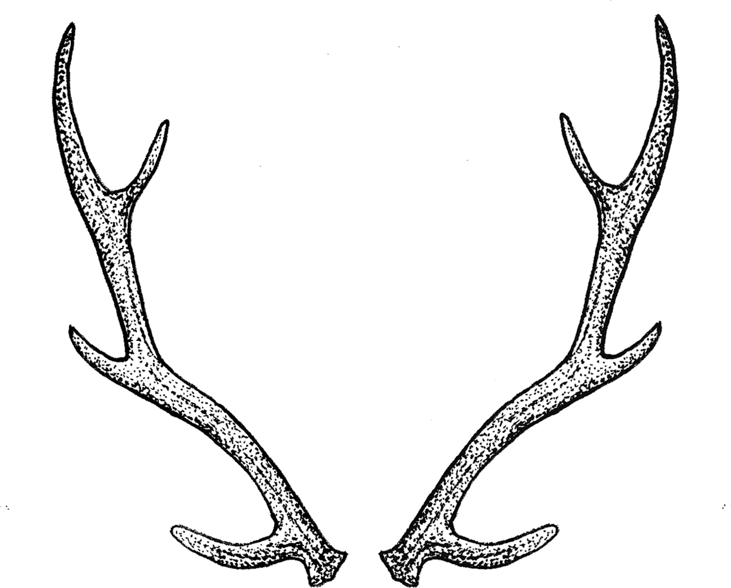 Antlers By Tea Leigh - Transparent Background Antlers Png, Png Download - Transparent PNG Free Download | PNGio