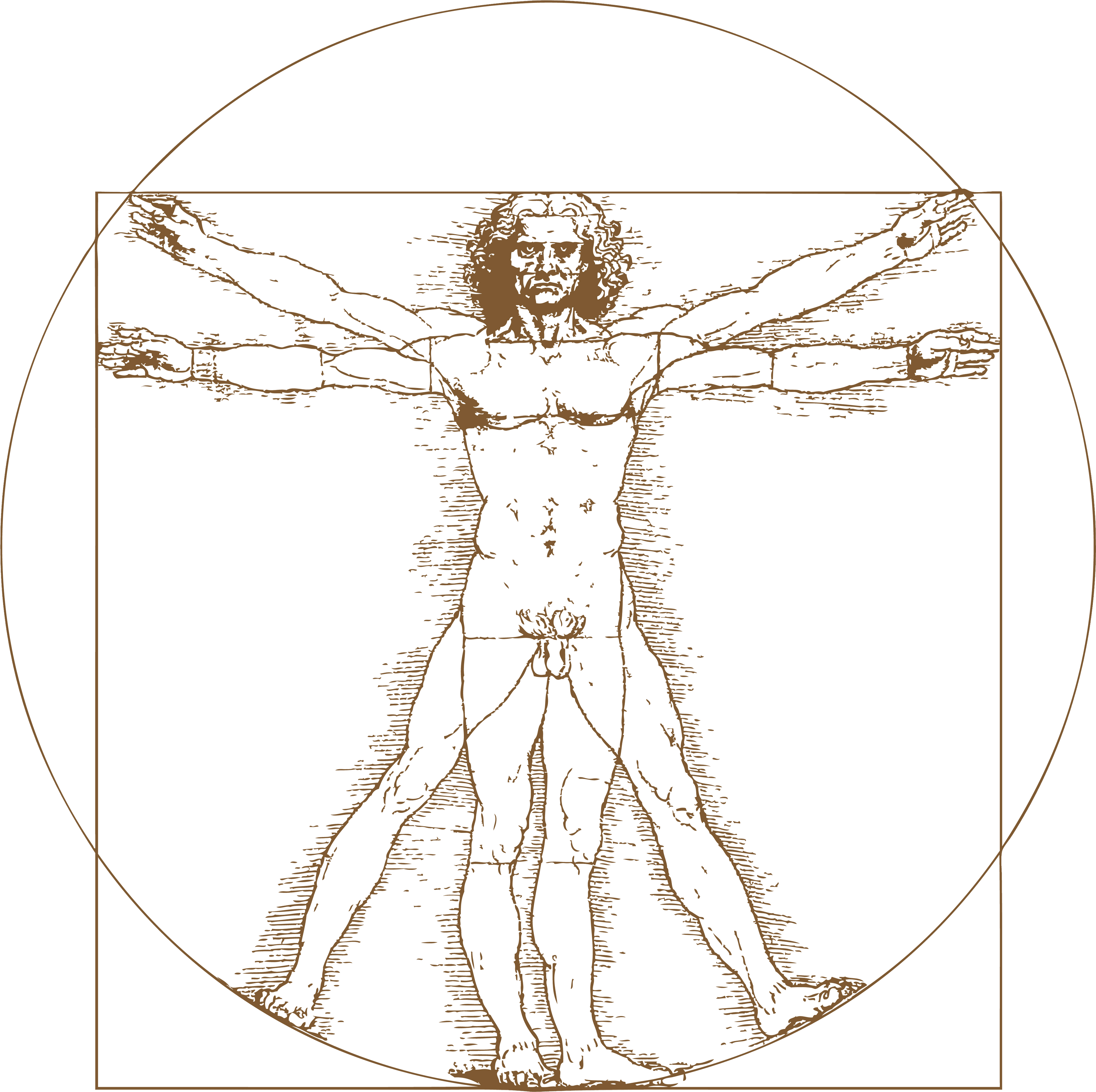 Leonardo Da Vinci Vitruvian Man Tattoo , Png Download - Leonardo Da Vinci Vitruvian Man Png, Transparent - Transparent PNG Free Download | PNGio