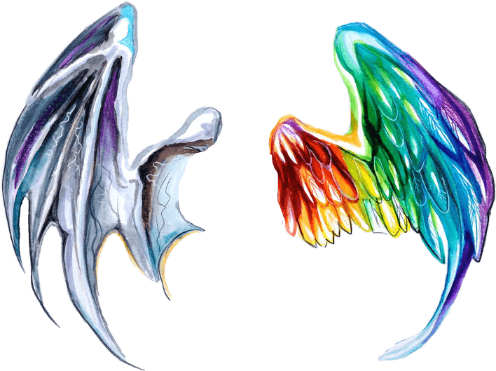 #dragon #dragons #dragonwings #dragonwing #angel #anegls - Devil And Angel Wings, HD Png Download - Transparent PNG Free Download | PNGio
