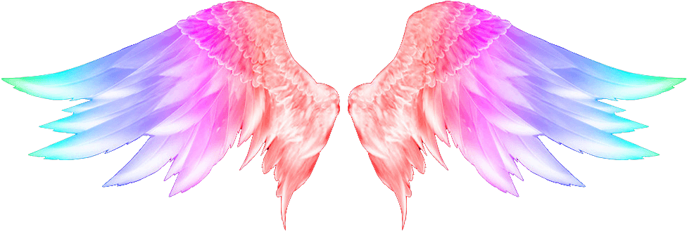 Transparent Feather Tattoo Png - Angel Wings Png Hd, Png Download - Transparent PNG Free Download | PNGio