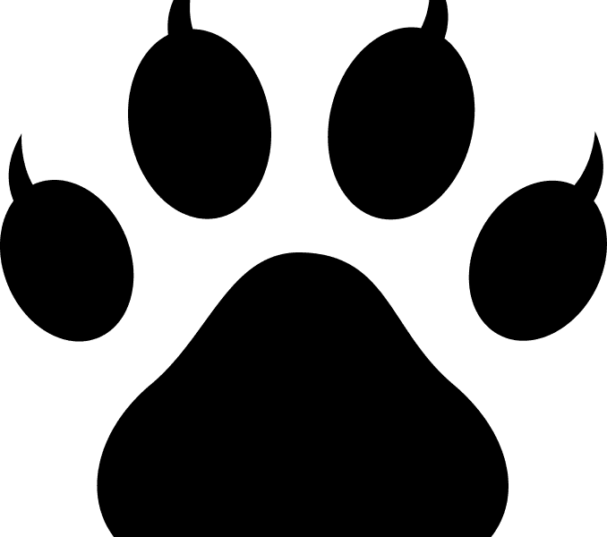 Transparent Paw Print Png, Png Download - Transparent PNG Free Download | PNGio