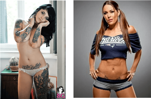 Brie Bella Tattoo - Brie Bella Sexy Abs, HD Png Download - Transparent PNG Free Download | PNGio