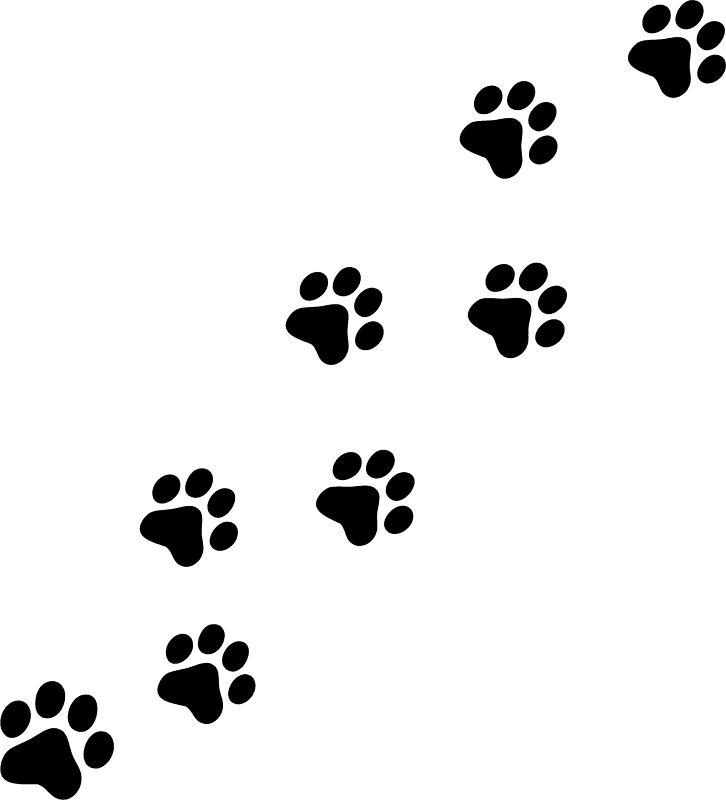 Dog Print Paw Wildcats On Paws Tattoos And Clip Art - Cat Paw Prints Clipart, HD Png Download - Transparent PNG Free Download | PNGio