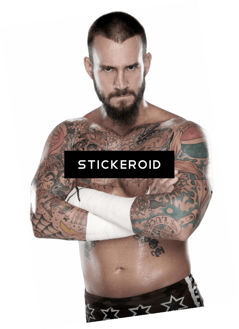 Cm Punk Wwe - Wwe Cm Punk Png, Transparent - Transparent PNG Free Download | PNGio