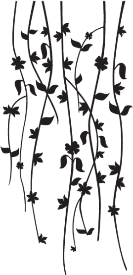 Tribal Tattoos For Ladies With Photographs And Meanings - Vine Painted On Wall, HD Png Download - Transparent PNG Free Download | PNGio