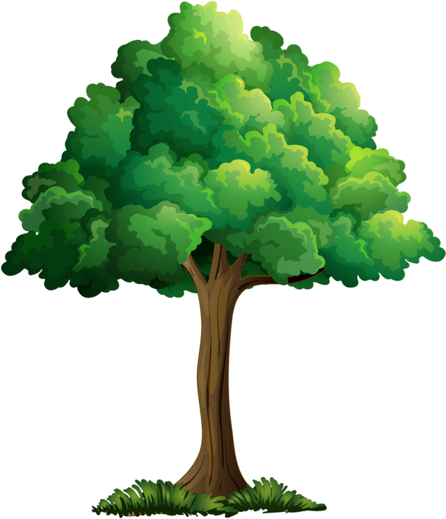 Tree Leavescartoon Pictureclip Art - Clip Art Summer Tree - Free Transparent PNG Clipart Images Download. - Transparent PNG Free Download | PNGio