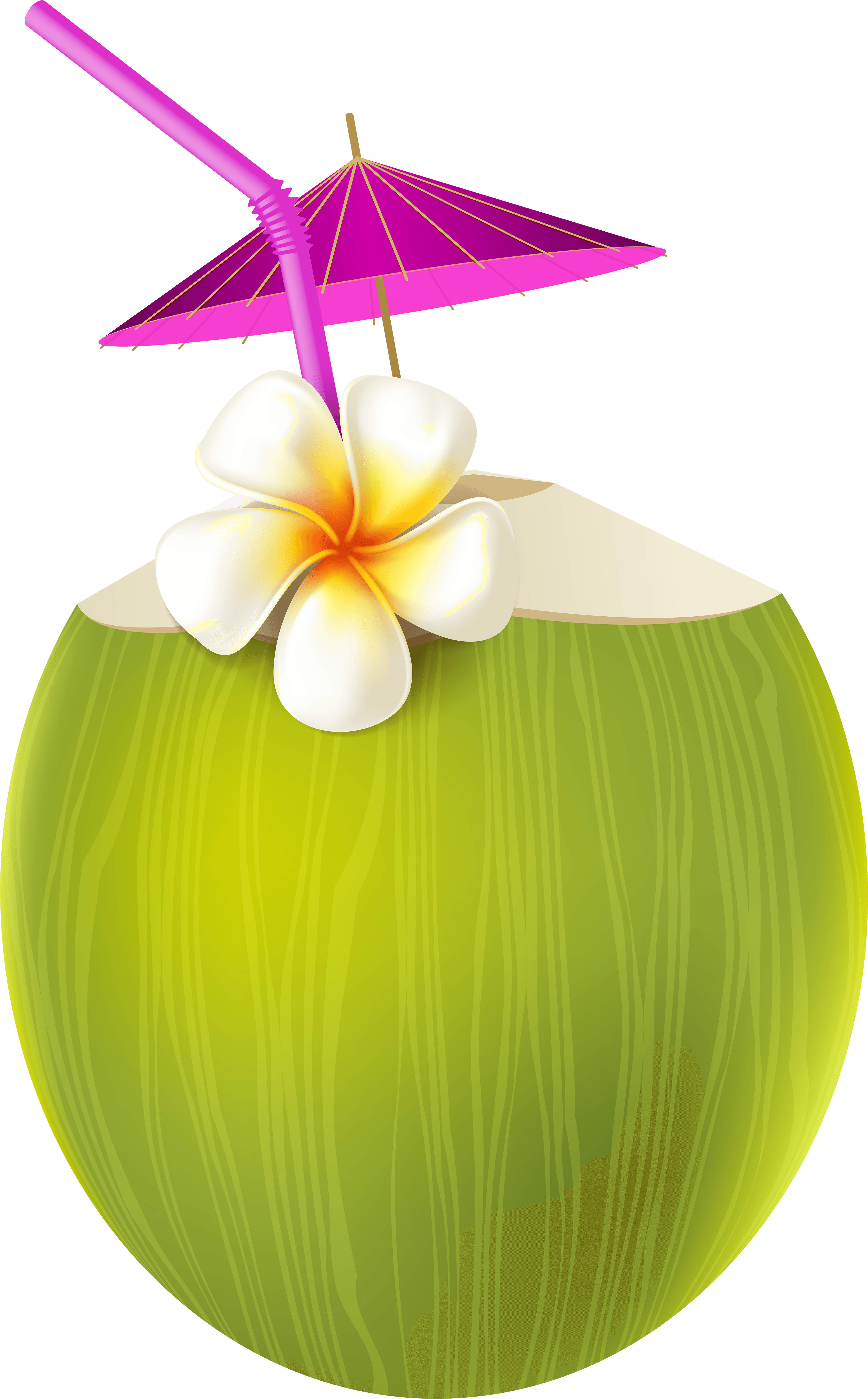 Aloha Party, Luau Party, Summer Parties, Pool Parties, - Summer Drinks Clipart Png - Free Transparent PNG Clipart Images Download. - Transparent PNG Free Download | PNGio