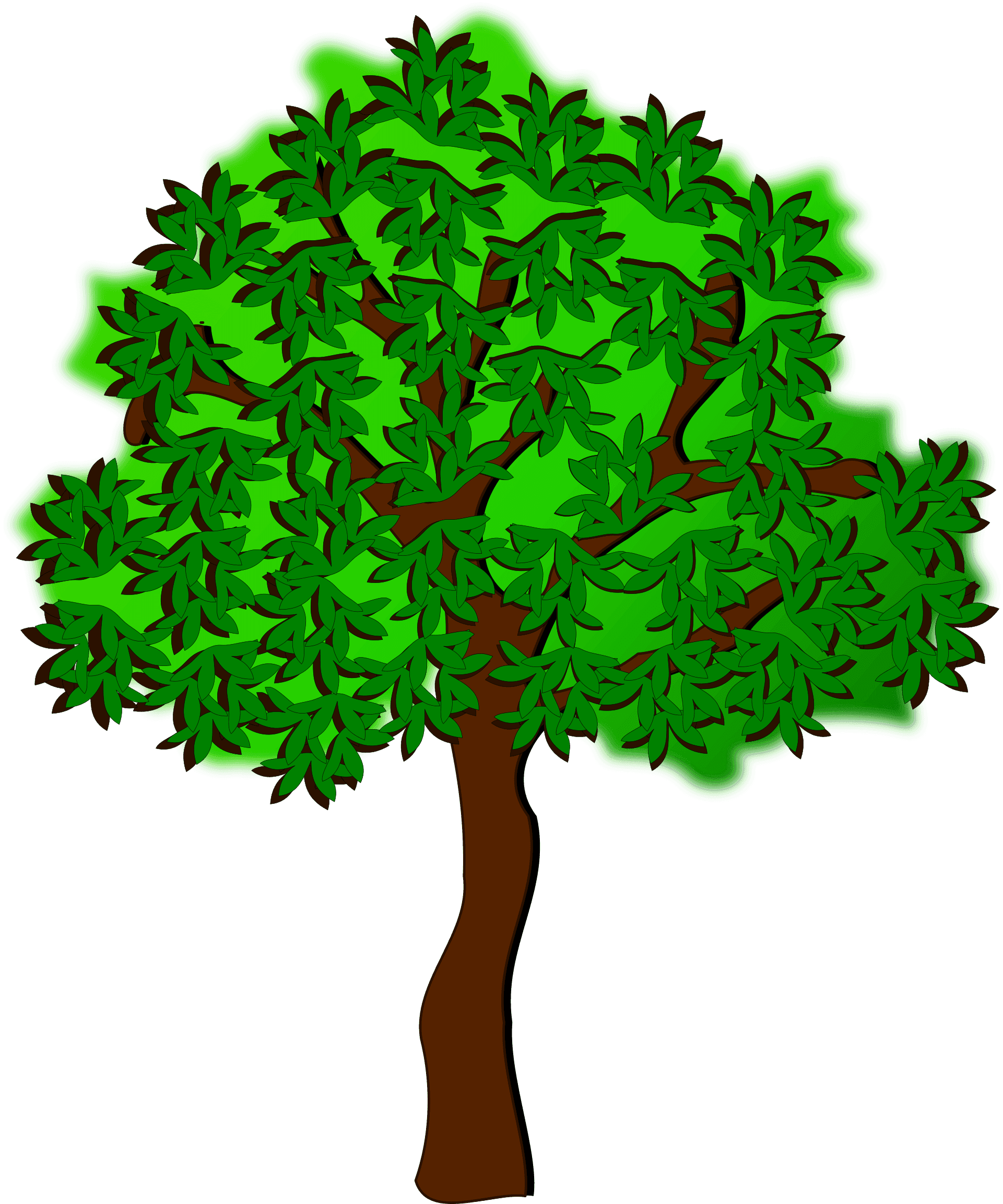 Clip Art, Flora, Nature, Plant, Tree - Summer Tree Clip Art - Free Transparent PNG Clipart Images Download. - Transparent PNG Free Download | PNGio