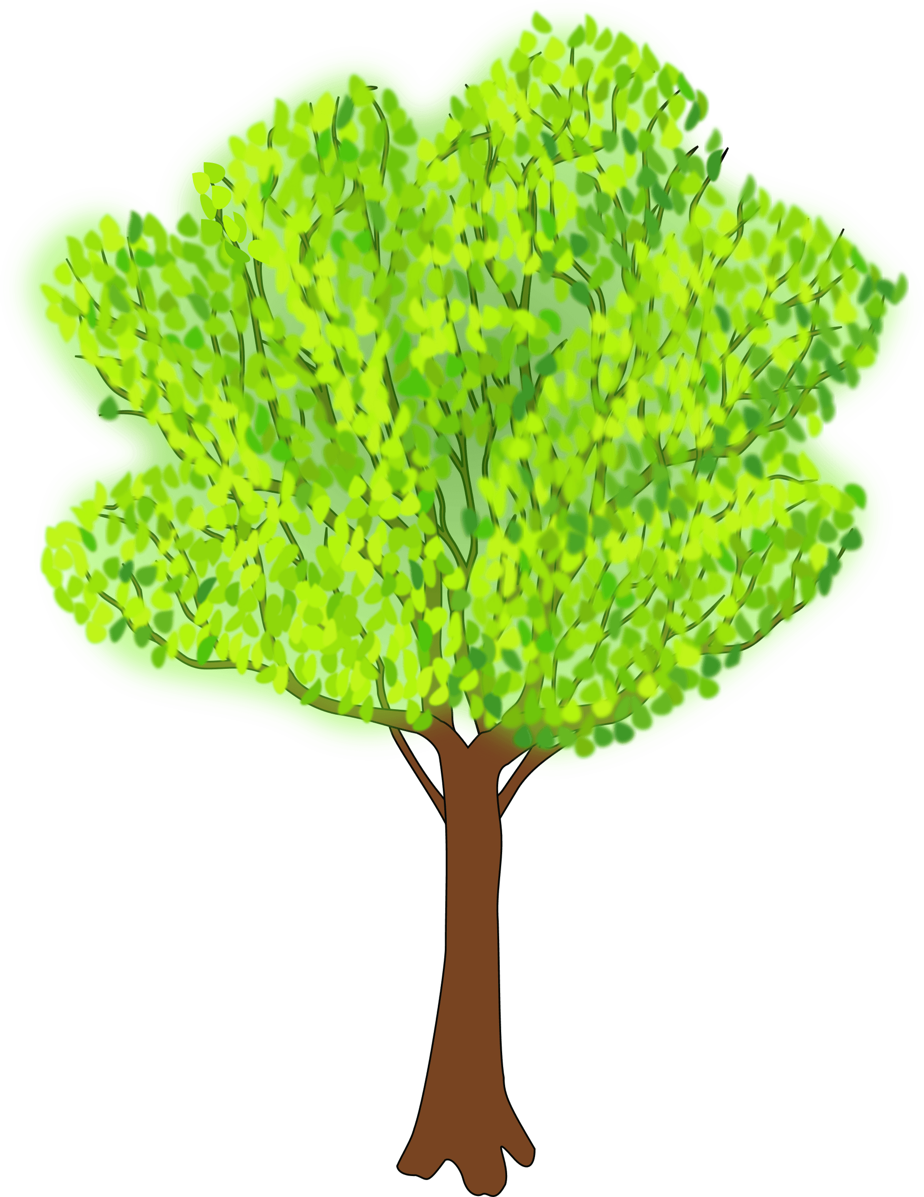 Tree In Summer - Summer Clip Art Tree - Free Transparent PNG Clipart Images Download. - Transparent PNG Free Download | PNGio