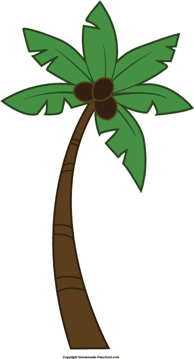 Palm Tree Clipart Monkey Tree - Vacation Summer Clip Art - Free Transparent PNG Clipart Images Download. - Transparent PNG Free Download | PNGio