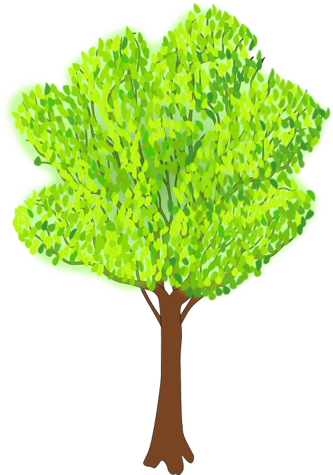 Coconut Tree Animated 11, Buy Clip Art - Clipart Of Tree In Summer - Free Transparent PNG Clipart Images Download. - Transparent PNG Free Download | PNGio