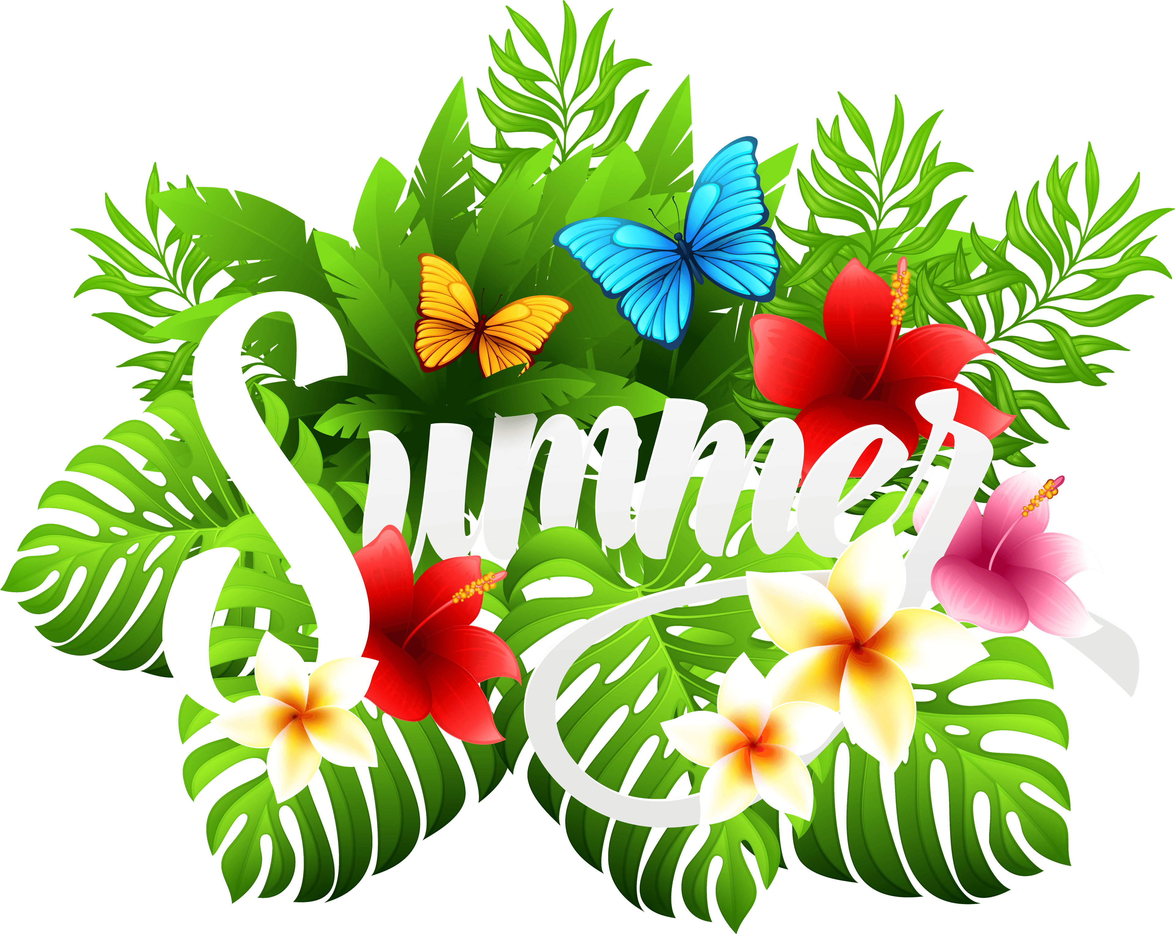 Summer Decorative Image Clipart - Summer Clip Art Png - Free Transparent PNG Clipart Images Download. - Transparent PNG Free Download | PNGio