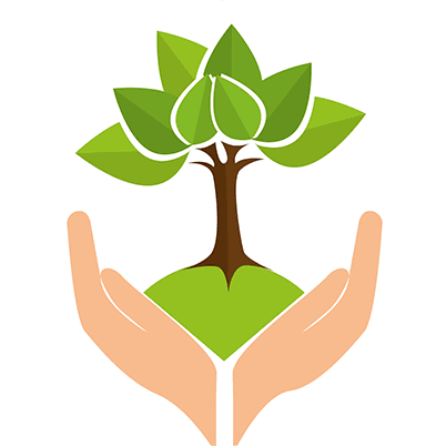 The Confidence Code - Summer School - Free Transparent PNG Clipart Images Download. - Transparent PNG Free Download | PNGio