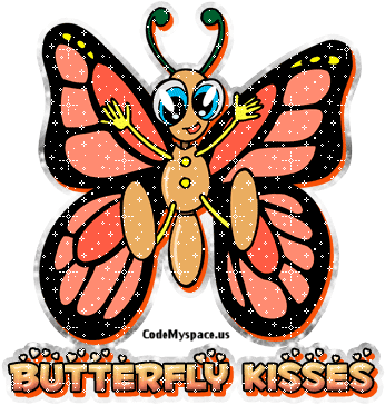 Butterfly Scrapbooking Vector Shape - Hooray Its Summer - Free Transparent PNG Clipart Images Download. - Transparent PNG Free Download | PNGio