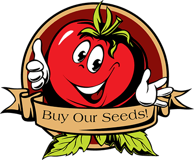 New Online Store - Tomato Summer Cartoon - Free Transparent PNG Clipart Images Download. - Transparent PNG Free Download | PNGio