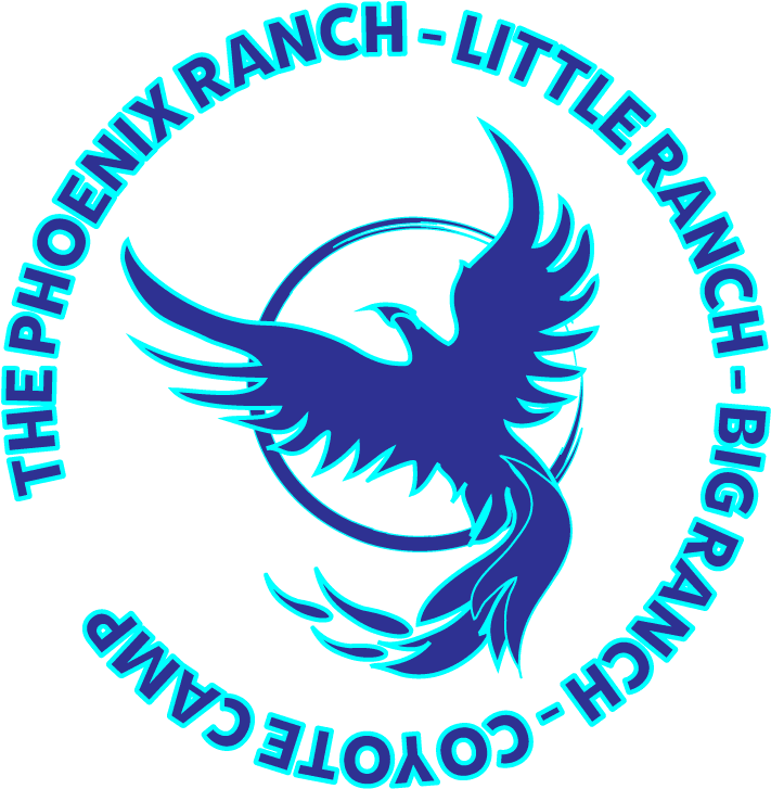 With Over 35 Years Serving Our Community, The Phoenix - Summer Camp - Free Transparent PNG Clipart Images Download. - Transparent PNG Free Download | PNGio