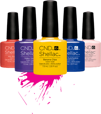 Cnd Shellac >> - Cnd Shellac Summer 2018 - Free Transparent PNG Clipart Images Download. - Transparent PNG Free Download | PNGio
