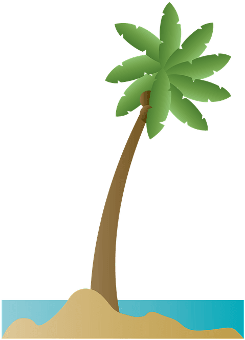 Palm Tree Palm Coconut Beach Summer Ocean Sea - Playa Ilustracion Png - Free Transparent PNG Clipart Images Download. - Transparent PNG Free Download | PNGio