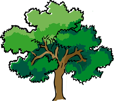 Oak Tree Summer Branches Leaves Trunk Matu - Vanadeviyin Mainthargal - Free Transparent PNG Clipart Images Download. - Transparent PNG Free Download | PNGio