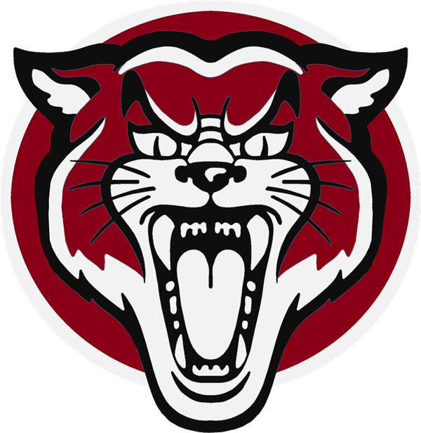 Cte Free Summer Camp - Wildcats Clipart - Free Transparent PNG Clipart Images Download. - Transparent PNG Free Download | PNGio